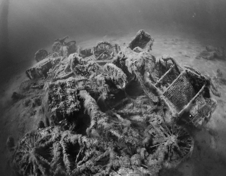 Hvad vi efterlader i havet